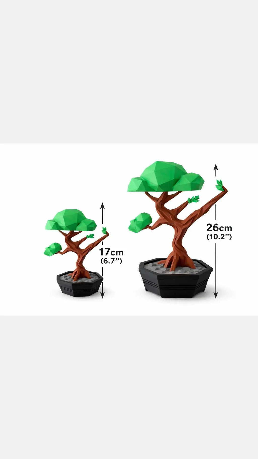 Bonsaï karaté 3D – Duo décoratif zen japonais JT Créa3D